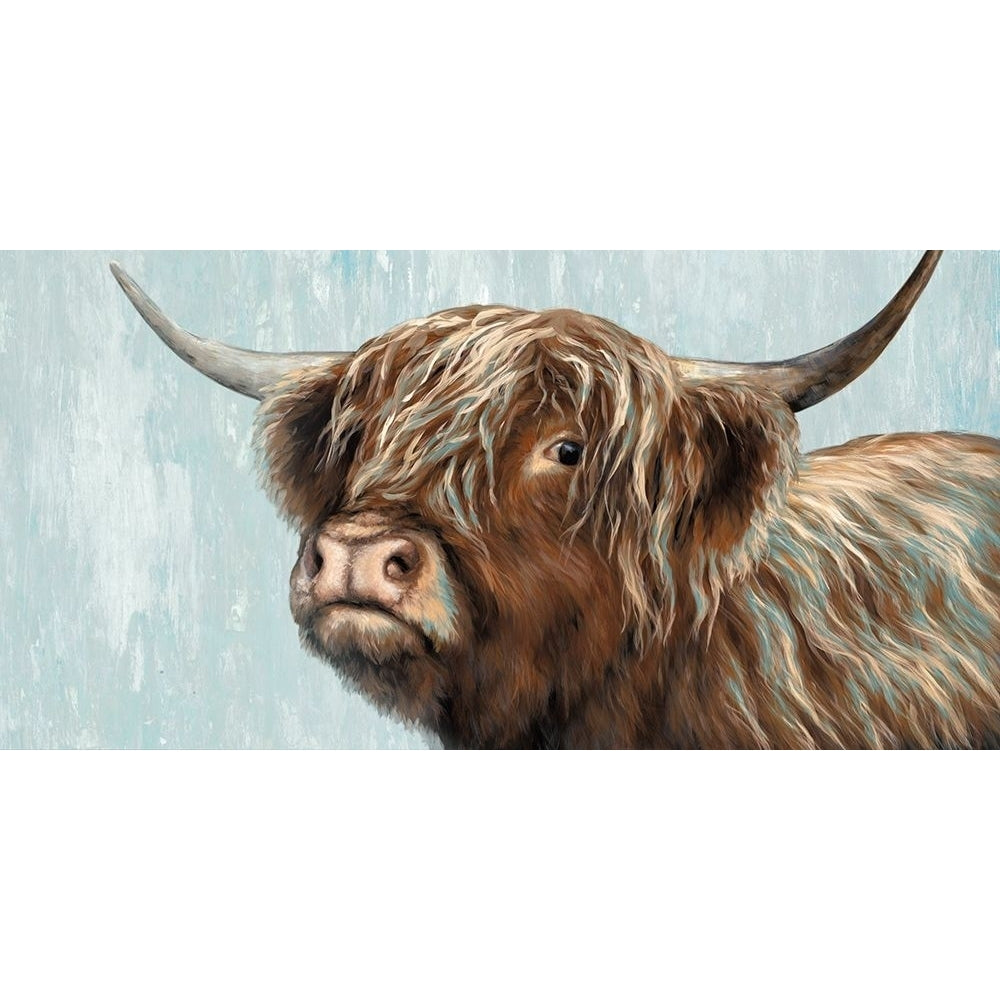 Highland Heifer by Dina Perejogina-VARPDXDH006A Image 1