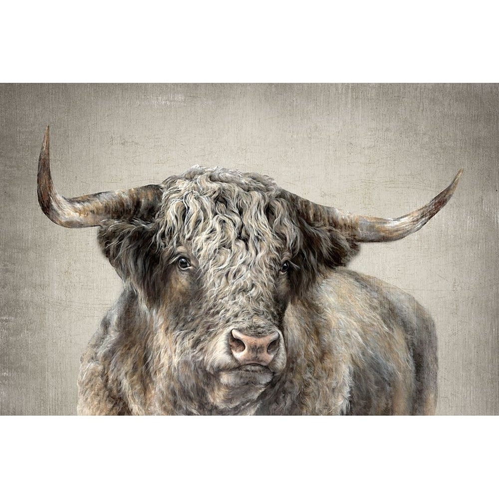 Grand Kyloe Bull Poster Print - Dina Perejogina-VARPDXDH042A Image 1