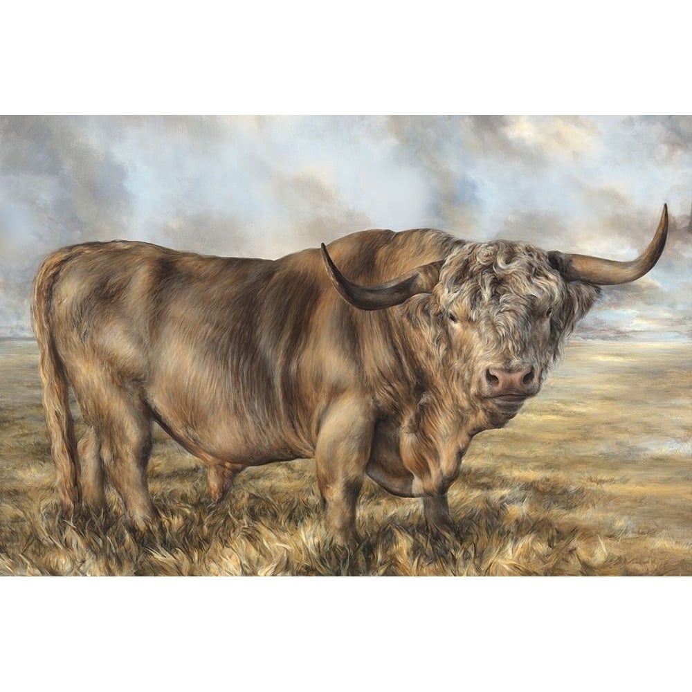 Highland Brown Bull by Dina Perejogina-VARPDXDH049A Image 1