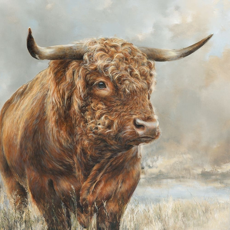 Wild Filed Bull Poster Print - Dina Perejogina-VARPDXDH051A Image 1