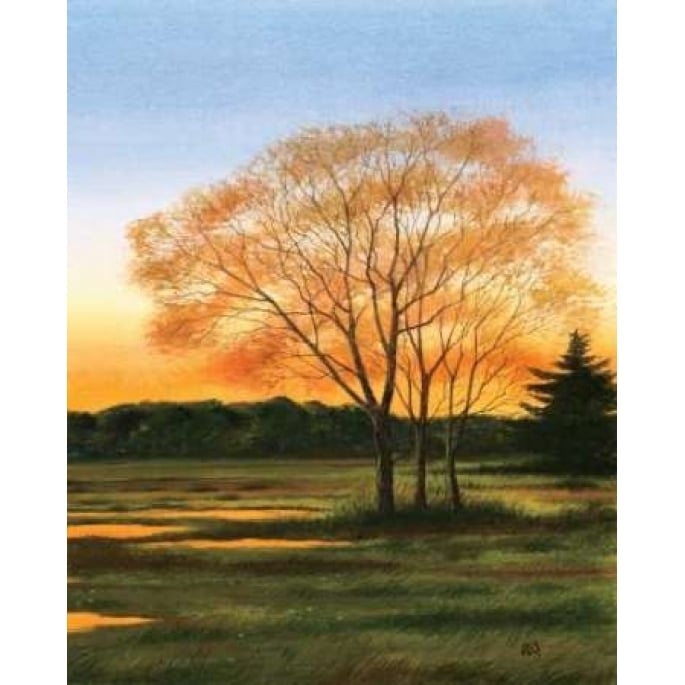 Marsh at Dusk II Poster Print by William Duke-VARPDXDKE013 Image 2