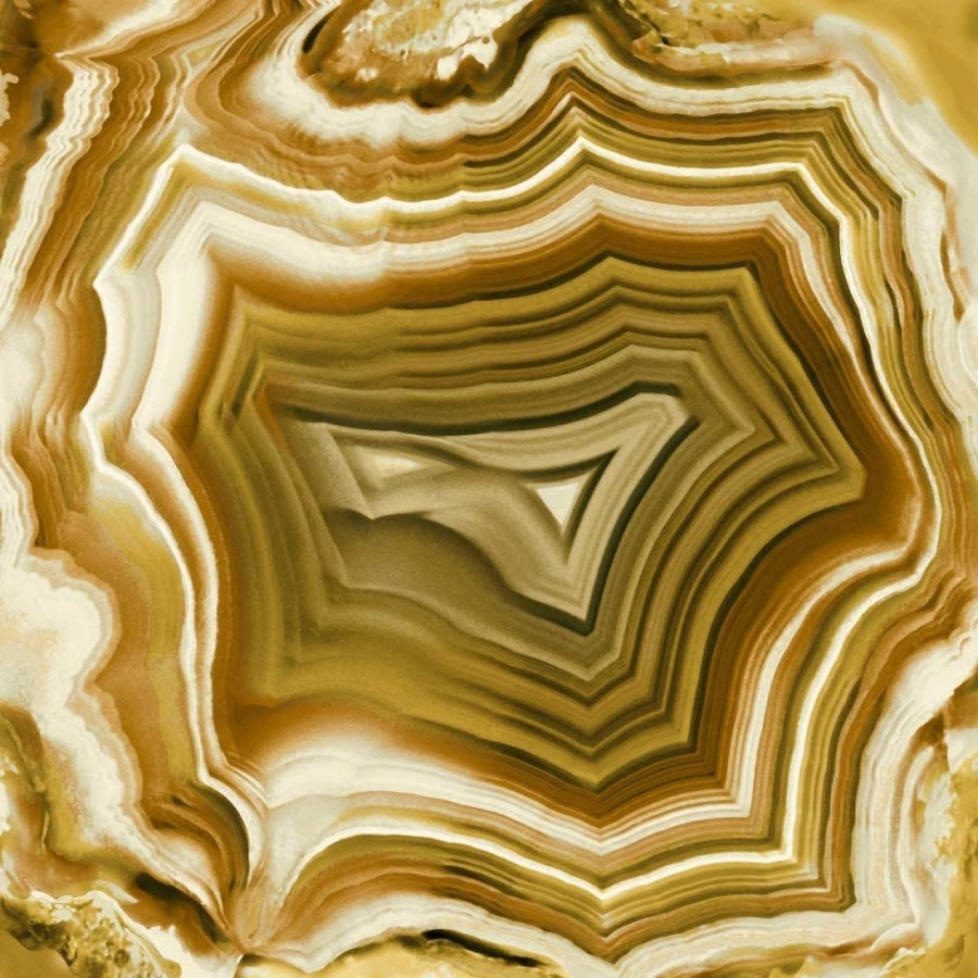 Agate in Amber Poster Print by Danielle Carson-VARPDXDLC112166DG Image 1