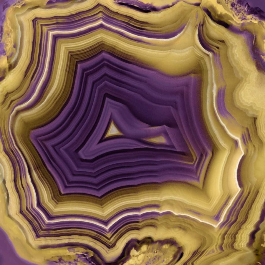 Agate in Purple and Gold II Poster Print by Danielle Carson-VARPDXDLC112170DG Image 1