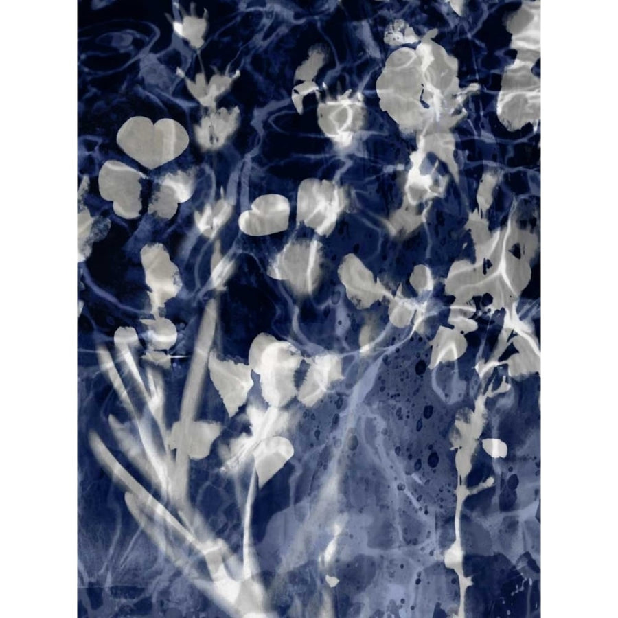 Indigo Nature III Poster Print by Danielle Carson-VARPDXDLC114111 Image 1