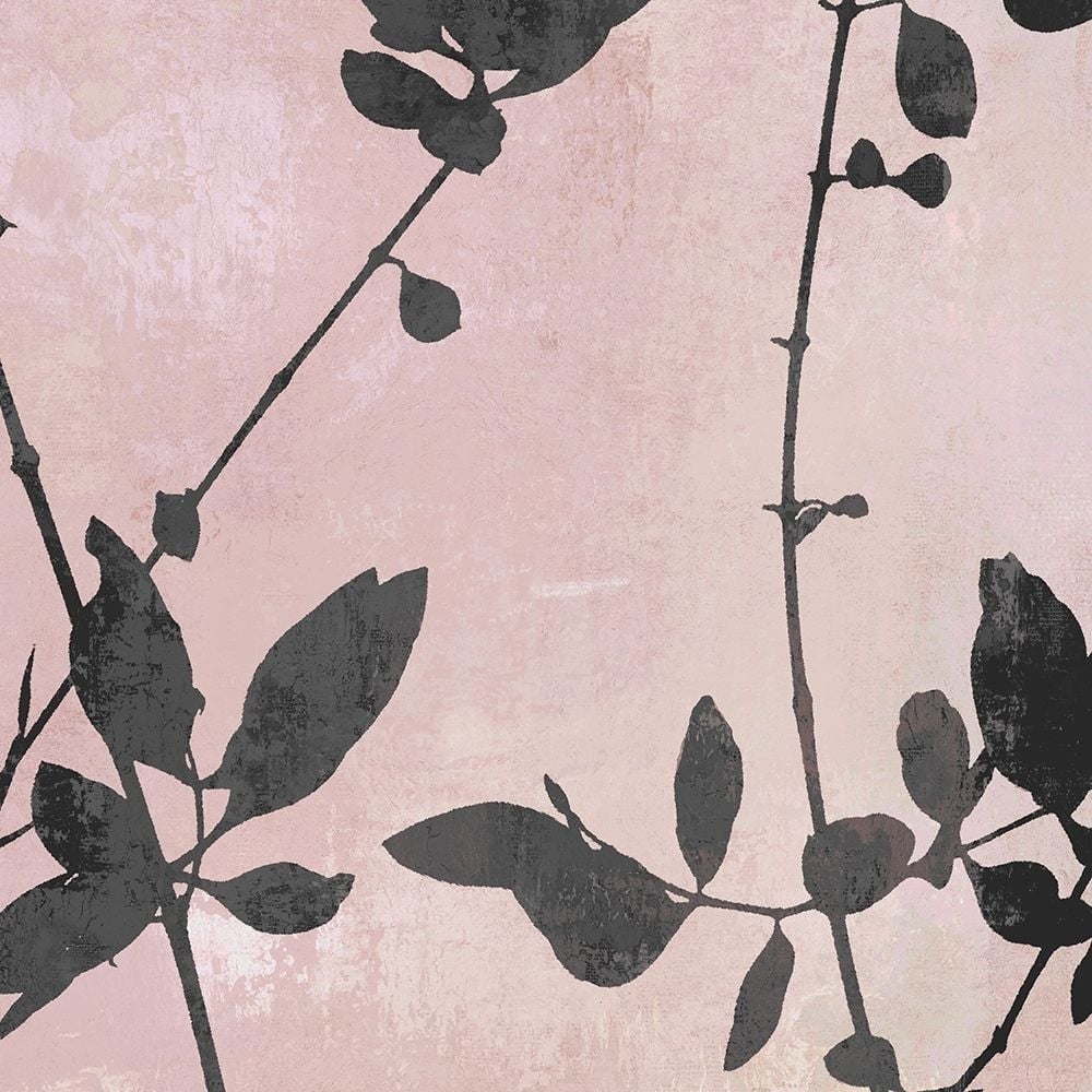 Nature Silhouette on Blush III Poster Print by Danielle Carson-VARPDXDLC116600 Image 1