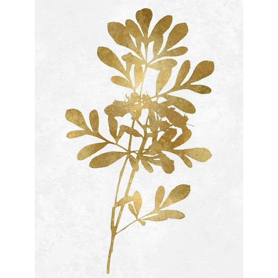 Nature Gold on White II by Danielle Carson-VARPDXDLC117869 Image 1