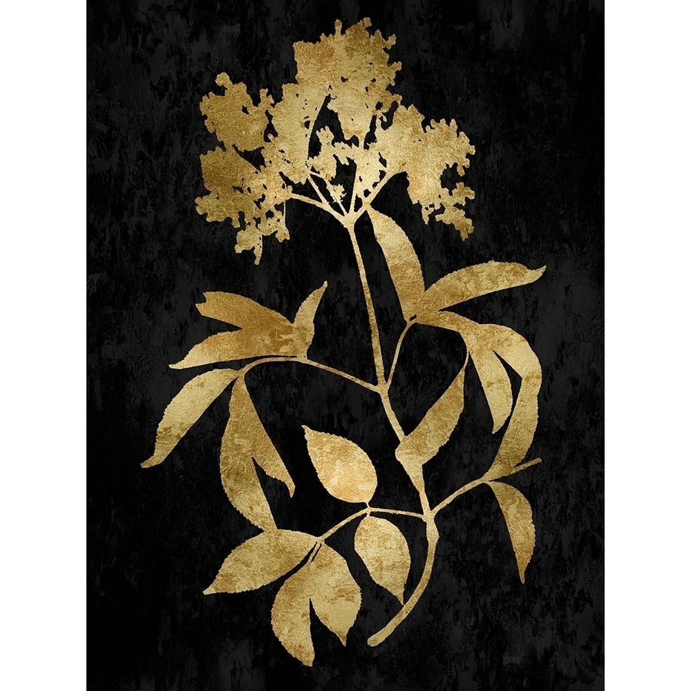 Nature Gold on Black V by Danielle Carson-VARPDXDLC117878 Image 1