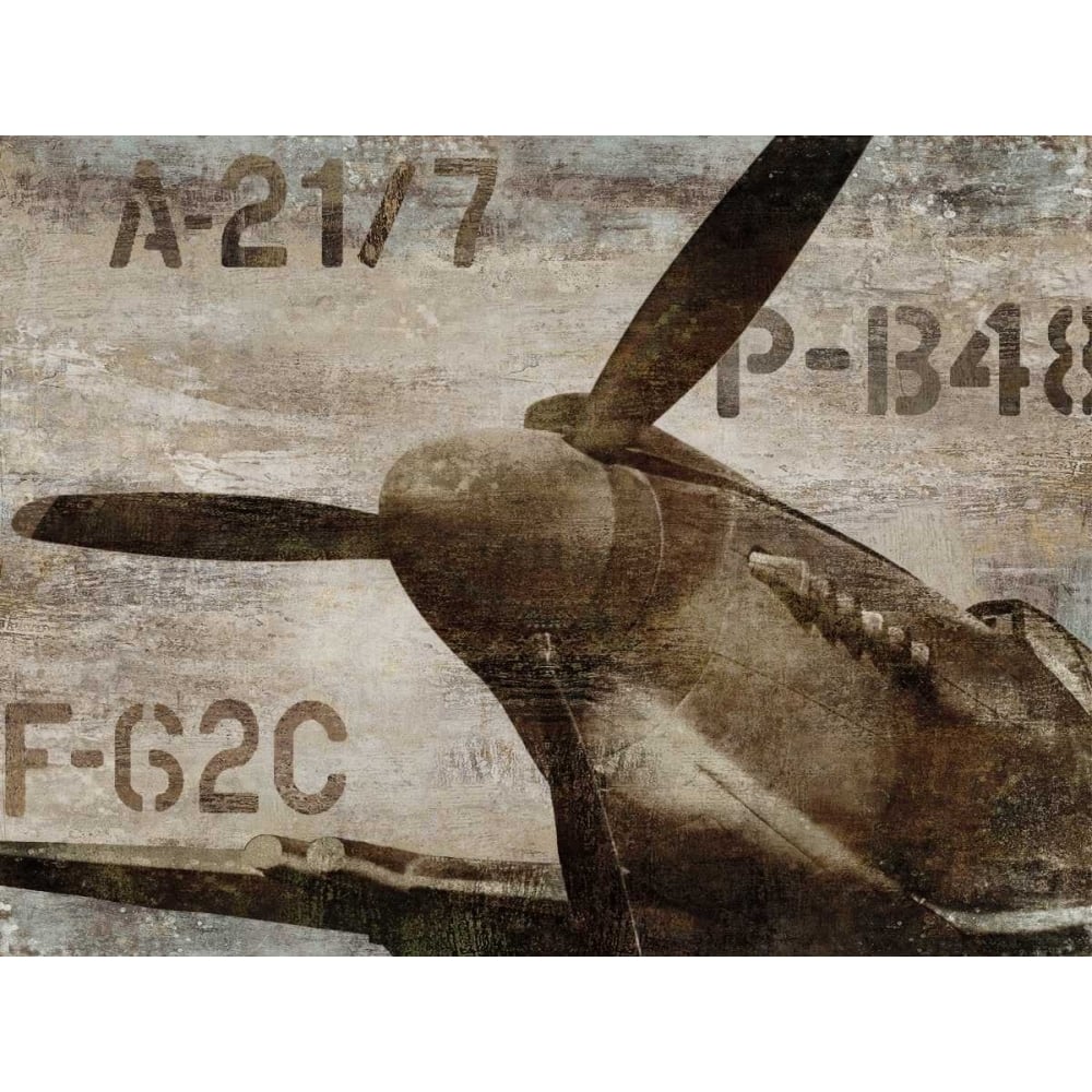 Vintage Airplane Poster Print by Dylan Matthews-VARPDXDLM6995 Image 1