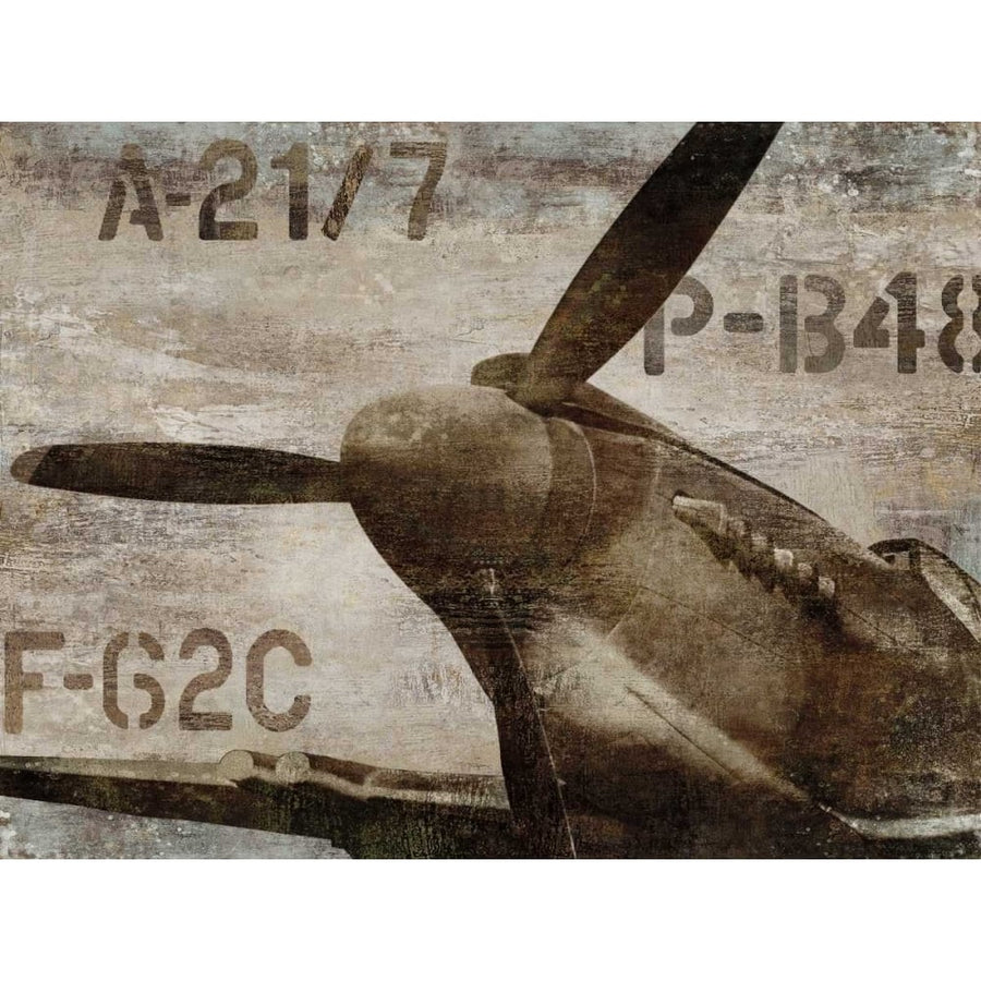 Vintage Airplane Poster Print by Dylan Matthews-VARPDXDLM6995 Image 1