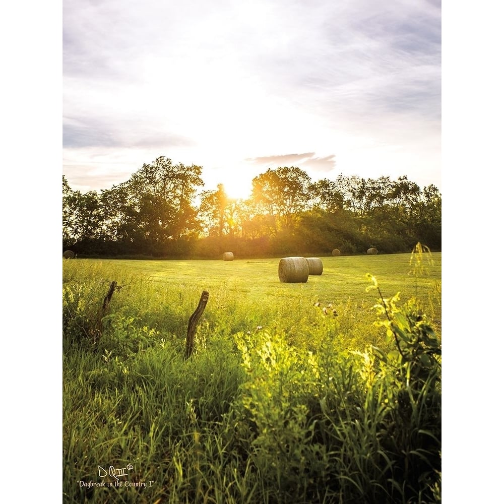 Daybreak in the Country I Poster Print by Donnie Quillen-VARPDXDQ125 Image 1