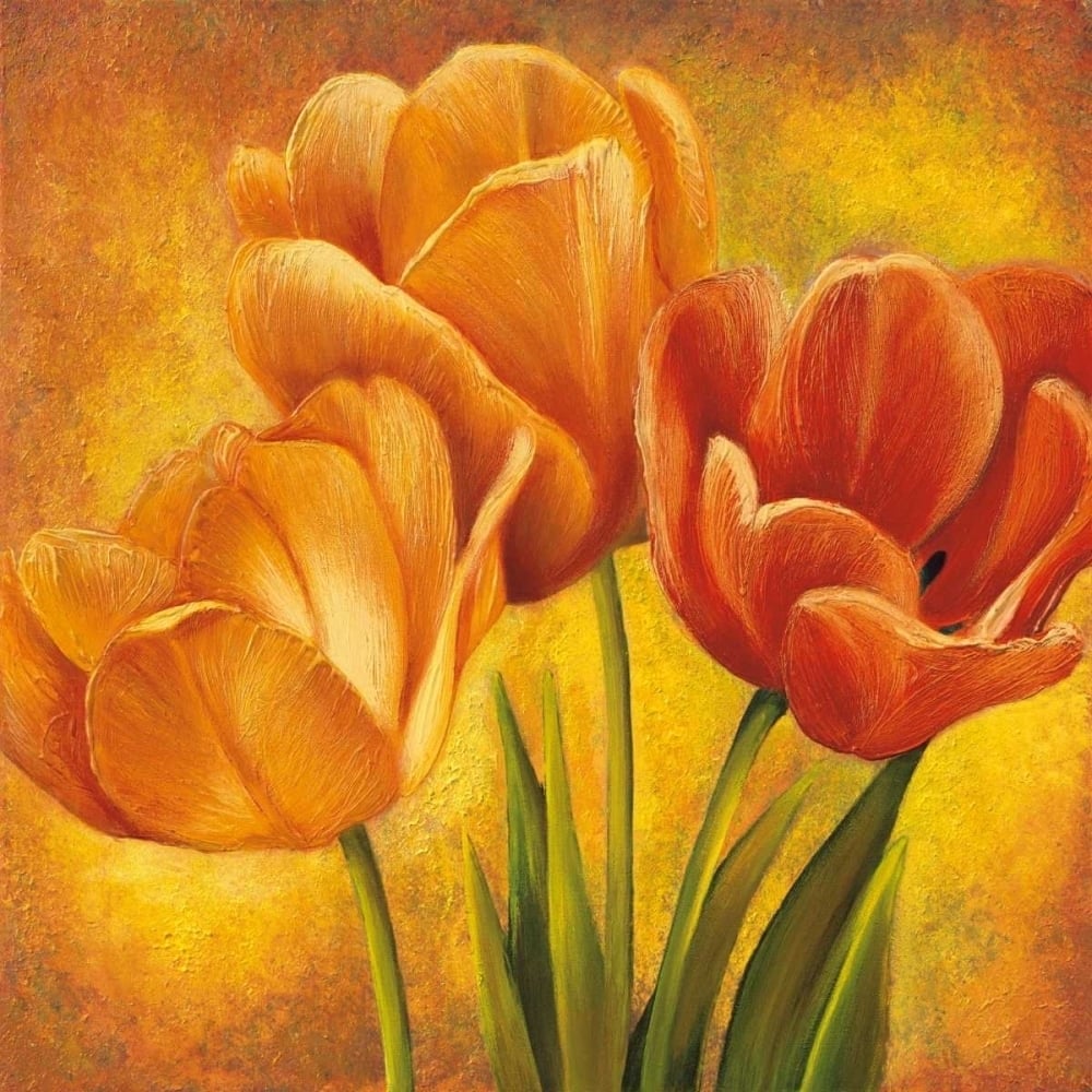 Orange Tulips II Poster Print by David Pedersen-VARPDXDPE6358 Image 1