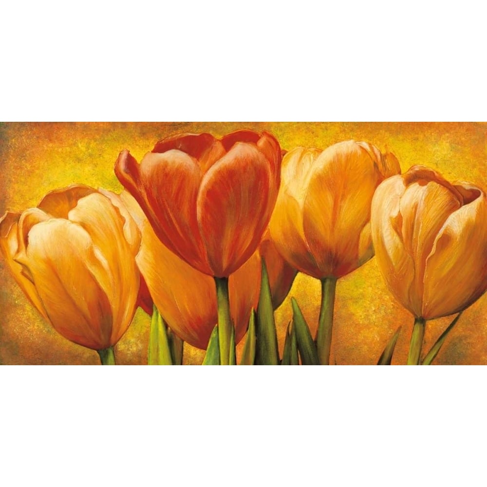 Bouquet of orange tulips Poster Print by David Pedersen-VARPDXDPE6356 Image 1