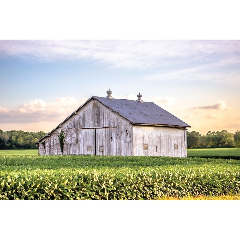 Rural Ohio Barn by Donnie Quillen-VARPDXDQ197 Image 1