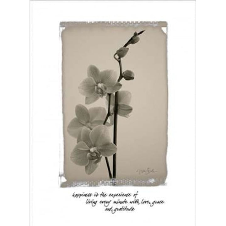 Orchid Poster Print by Diane Stimson-VARPDXDSRC211D1 Image 2