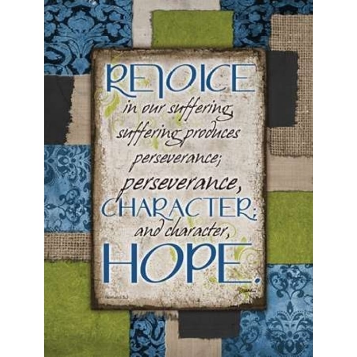 Patch Work Hope Poster Print by Diane Stimson-VARPDXDSRC246B Image 2