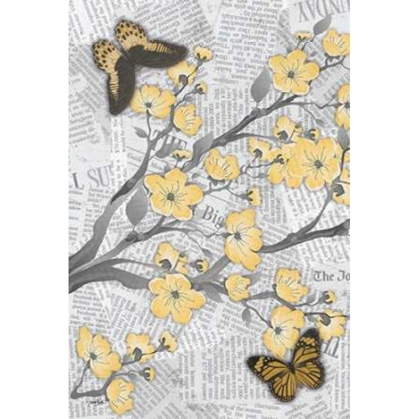 Cherry Blossom Bflies A Poster Print by Diane Stimson-VARPDXDSRC257A Image 2