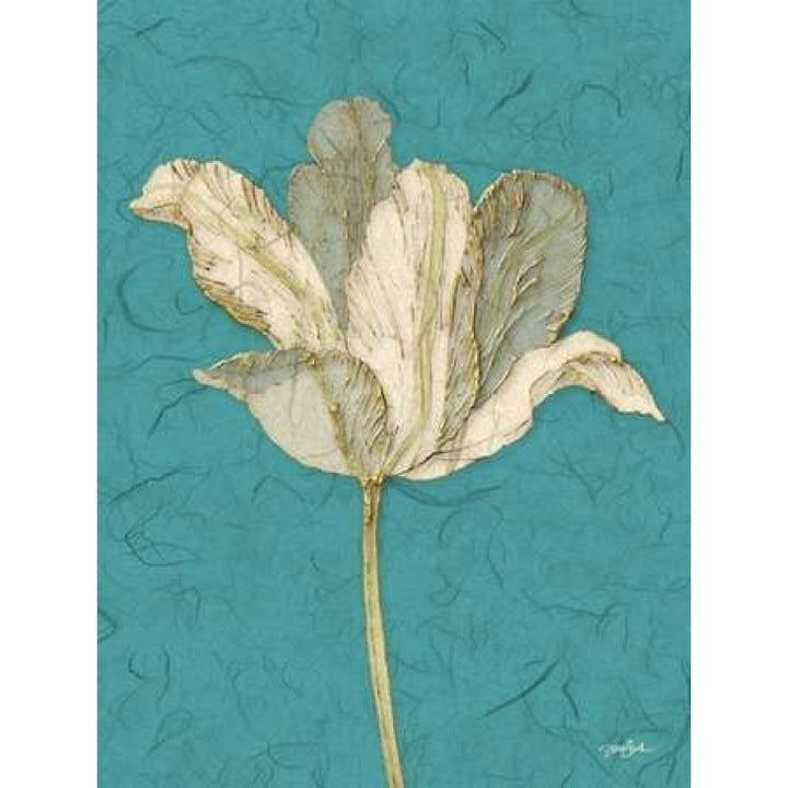 Tulip 2 Poster Print by Diane Stimson-VARPDXDSRC272B Image 1