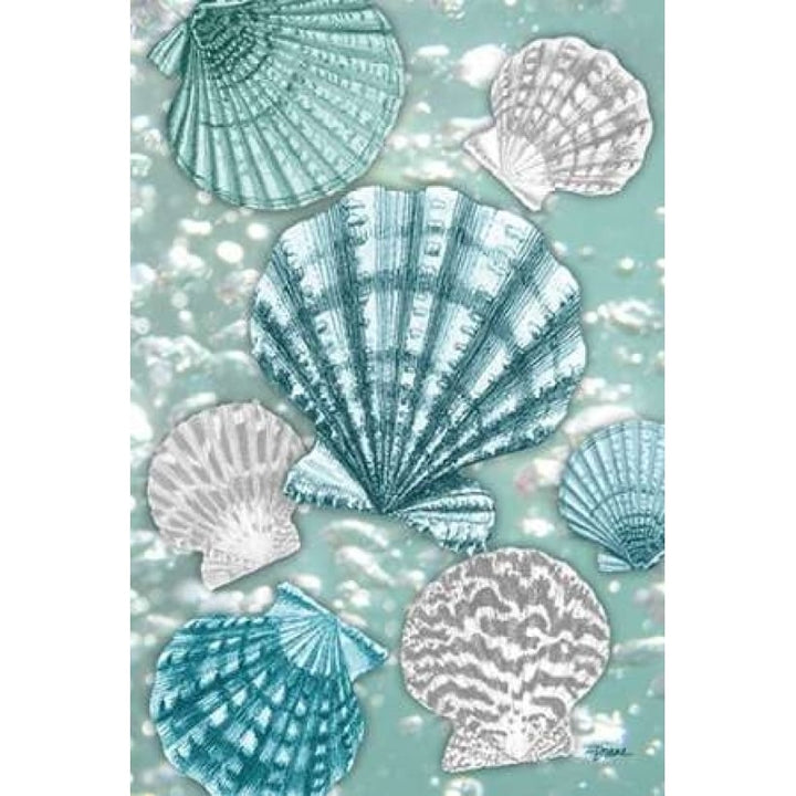 Scallop Bubbles Poster Print by Diane Stimson-VARPDXDSRC282B Image 1