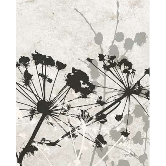 Tranquil Grass 2 BW Poster Print by Diane Stimson-VARPDXDSRC281B1 Image 2