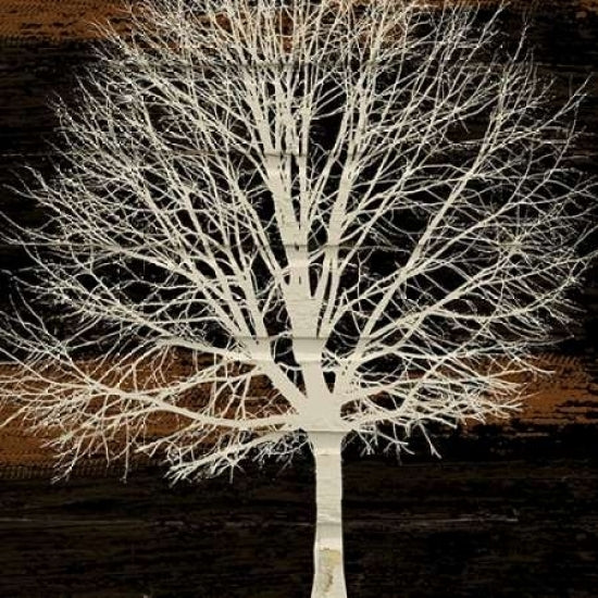 Night Tree Poster Print by Diane Stimson-VARPDXDSSQ303A6 Image 1