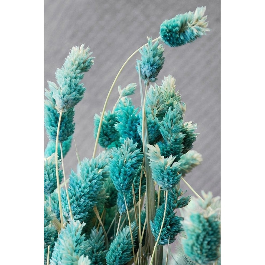 Autumnal Teal I Poster Print by Daniela Savone-VARPDXDT004A Image 1