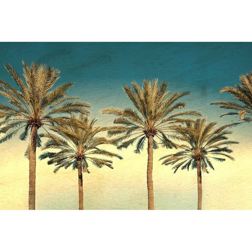 Distressed Palm Trees Poster Print - Daniel Stein-VARPDXDZ020A Image 1