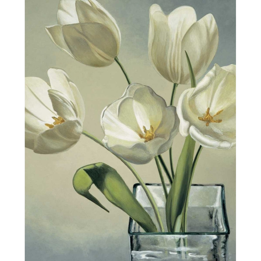 Tulipani in vaso Poster Print by Eva Barberini-VARPDXEBR4435 Image 1