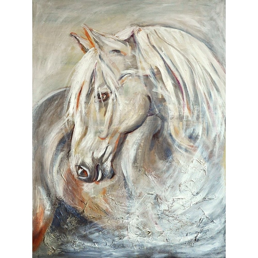 Horse Poster Print by Emma Catherine Debs-VARPDXECRC008 Image 1