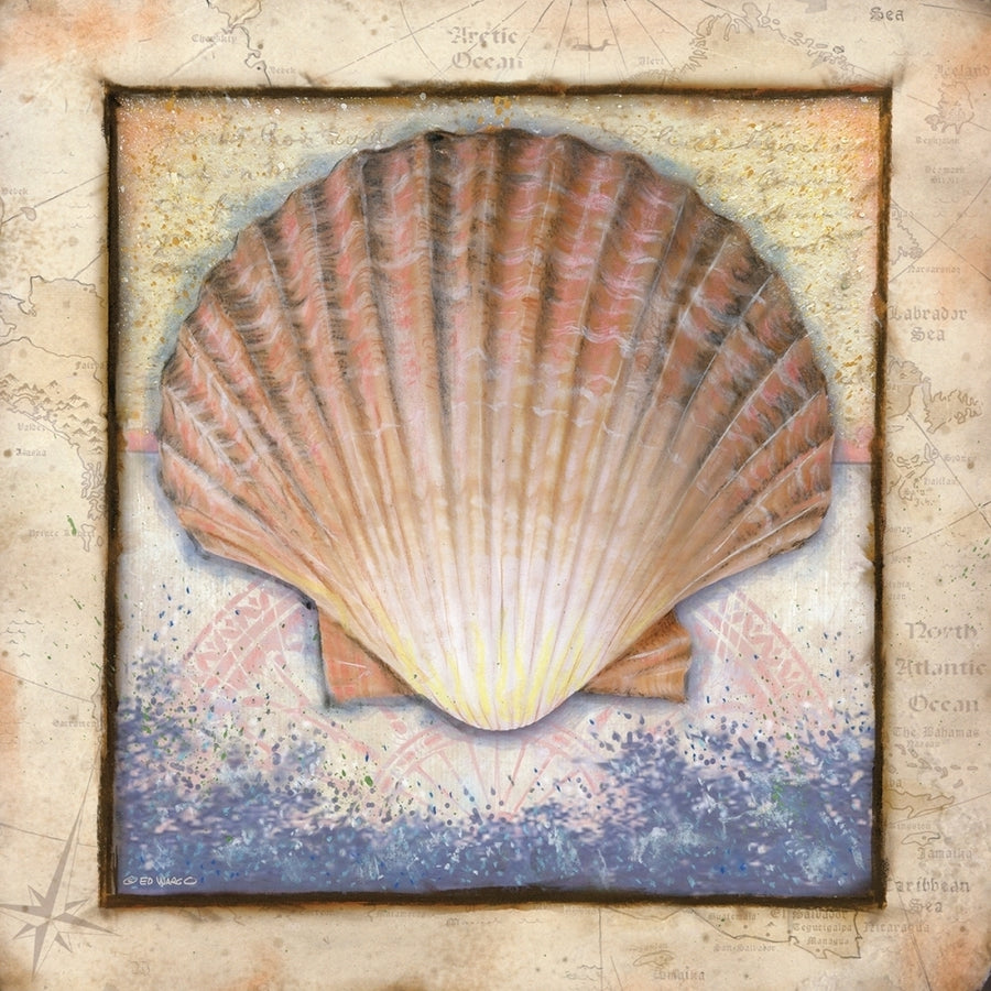 Shell Poster Print by Ed Wargo-VARPDXED298 Image 1