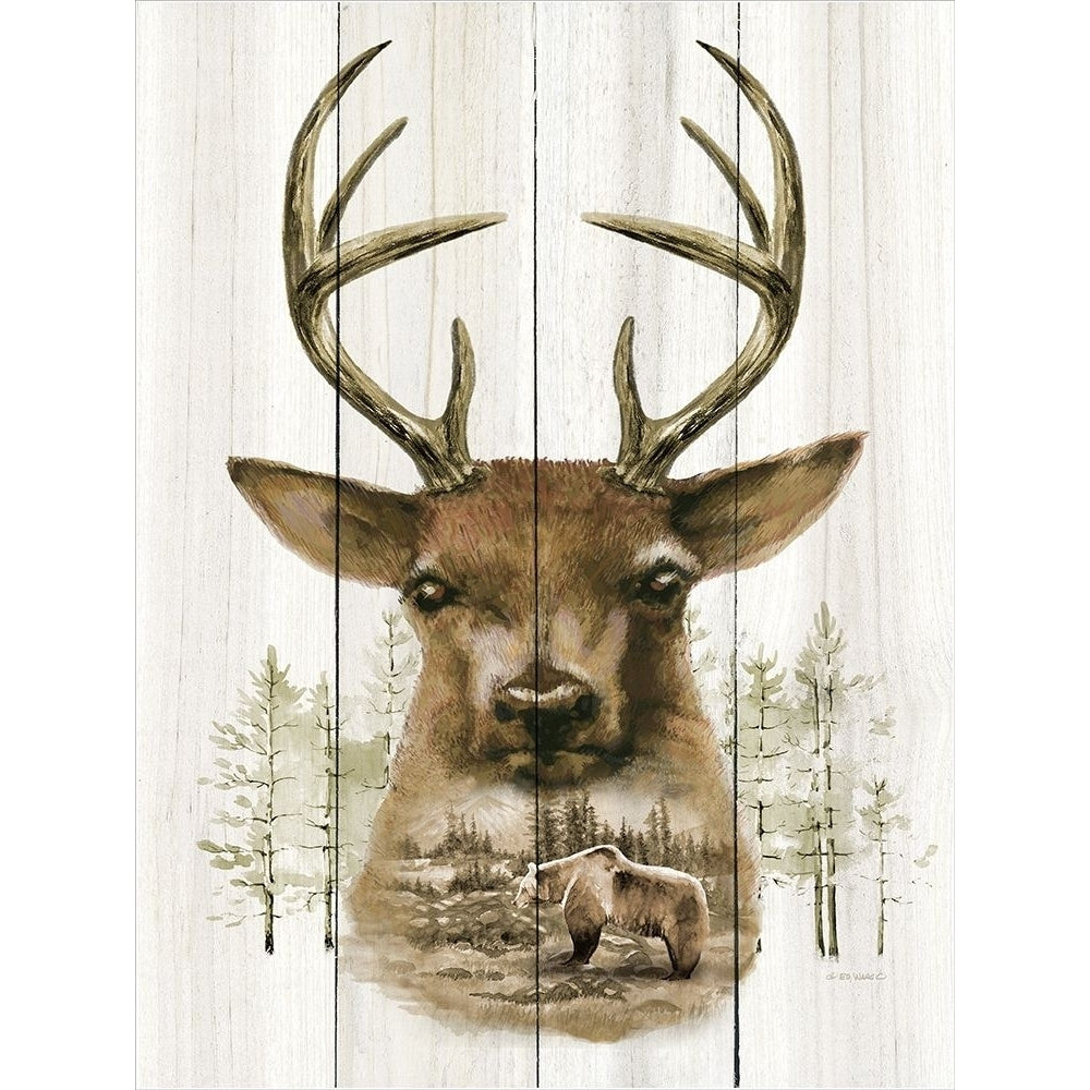 Deer Wilderness Portrait Poster Print by Ed Wargo-VARPDXED351 Image 1