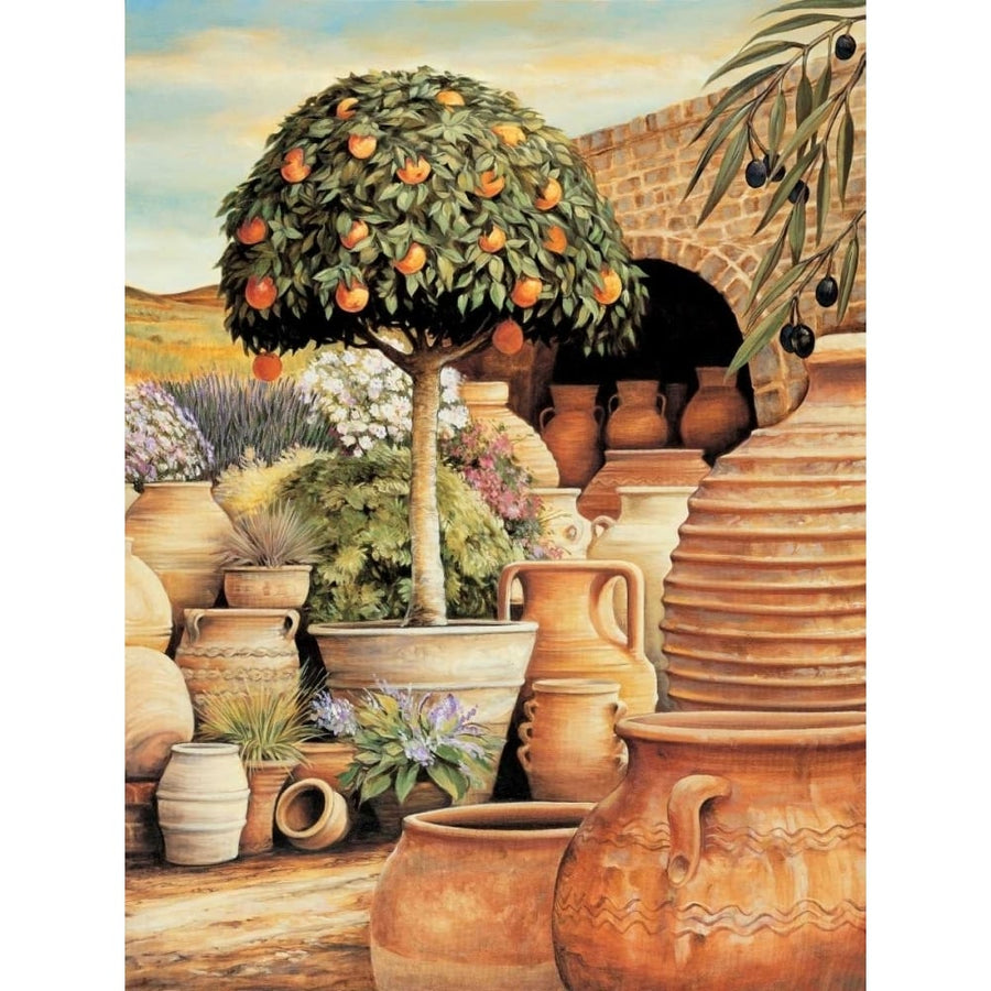 Orange Topiary Poster Print by Eduardo Eduardo-VARPDXEDO1829 Image 1