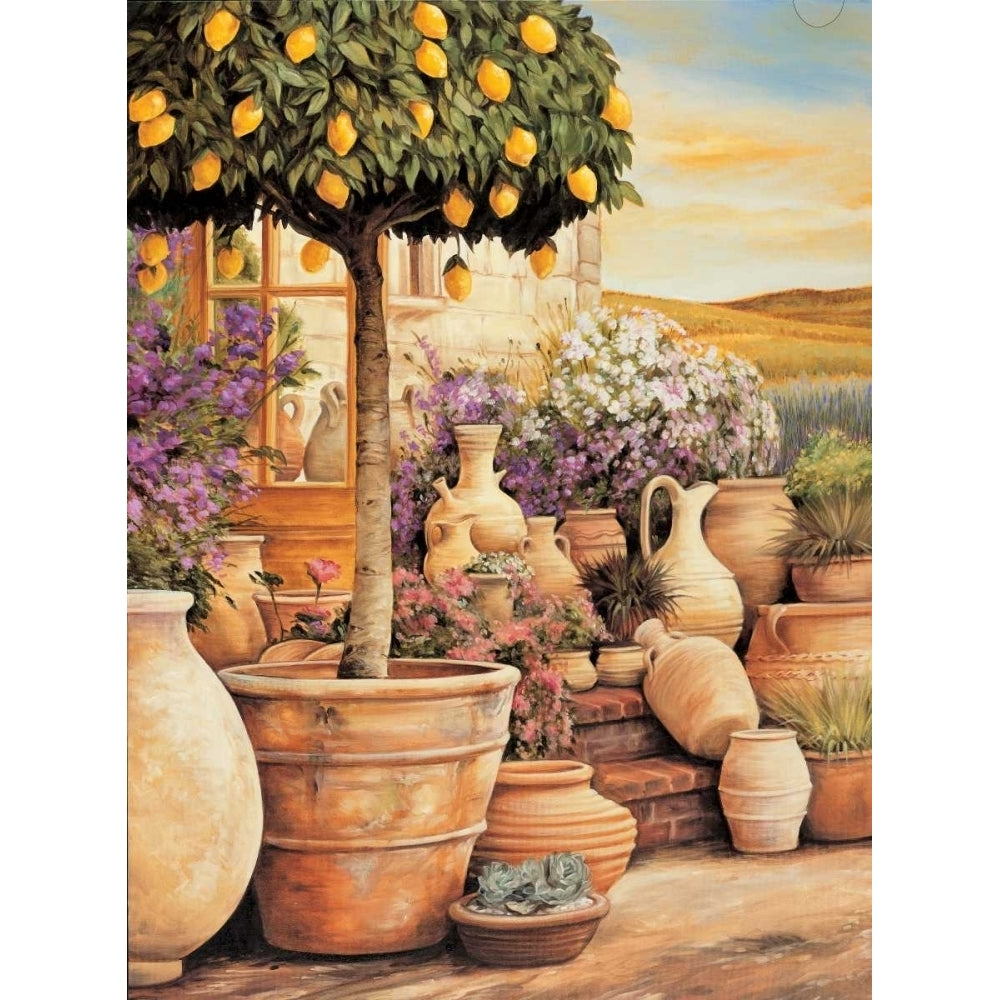 Lemon Topiary Poster Print by Eduardo Eduardo-VARPDXEDO1828 Image 1