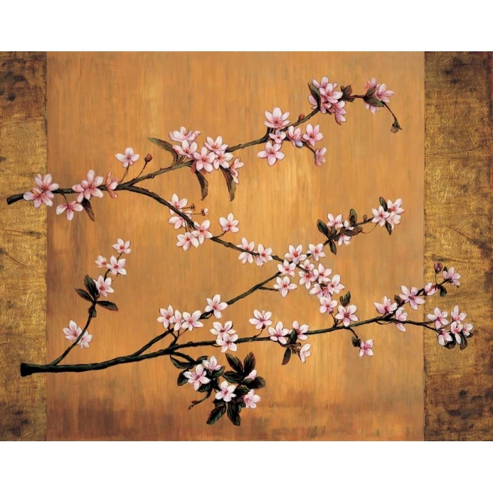 Cherry Blossoms Poster Print by Erin Lange-VARPDXERL4677 Image 1