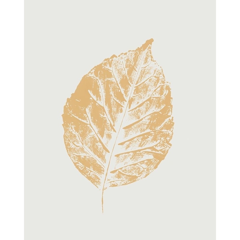 Colour Leaf Print I by Sarah Leonard-VARPDXET071A Image 1