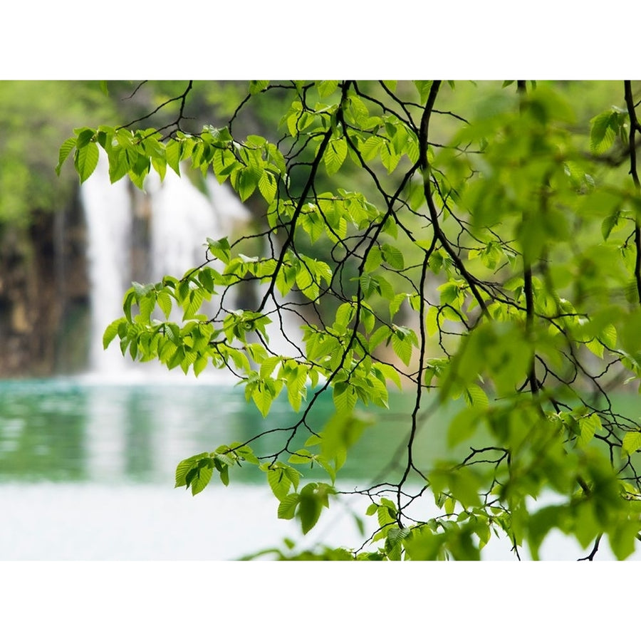 CroatiaPlitvice Lakes National Park The Plitvice Lakes in the National Park Plitvicka Jezera Poster Print Julie Image 1