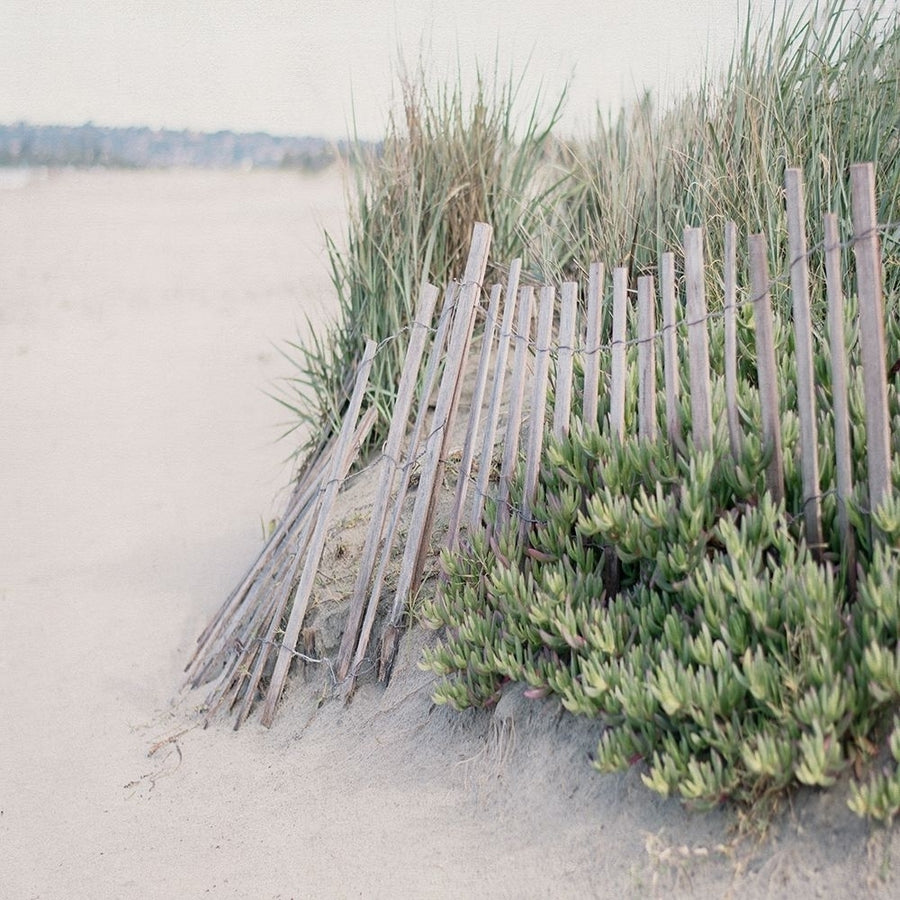 Just Steps To The Beach I Poster Print by Elizabeth Urquhart-VARPDXEUSQ002A Image 1