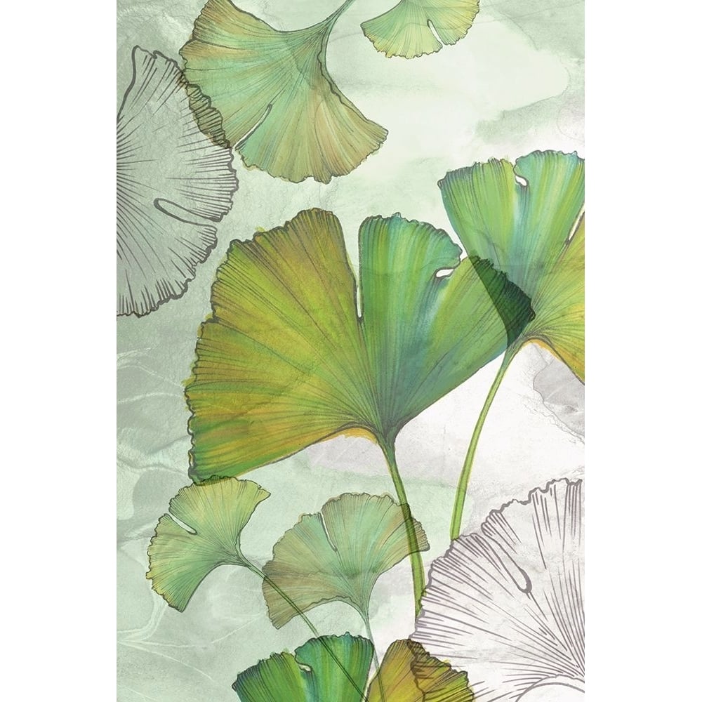 Ginkgo I Poster Print - Eva Watts-VARPDXEW113A Image 1