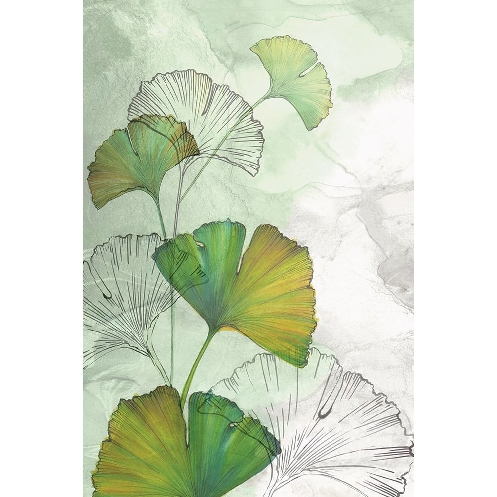 Ginkgo II Poster Print - Eva Watts-VARPDXEW114A Image 1