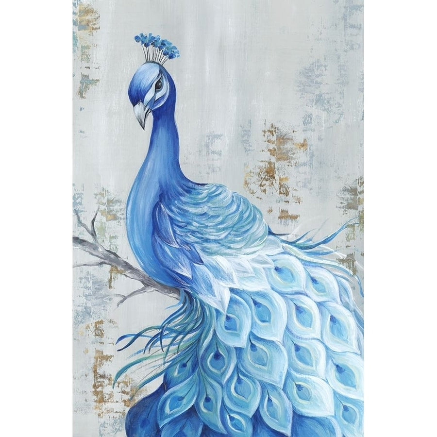 Peacock Paradise Poster Print by Eva Watts-VARPDXEW129A Image 1