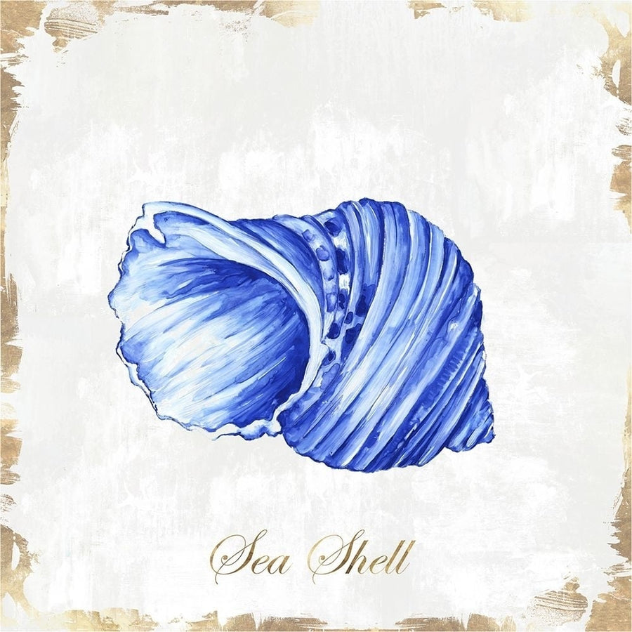 Blue Seashell Poster Print by Eva Watts-VARPDXEW140A Image 1