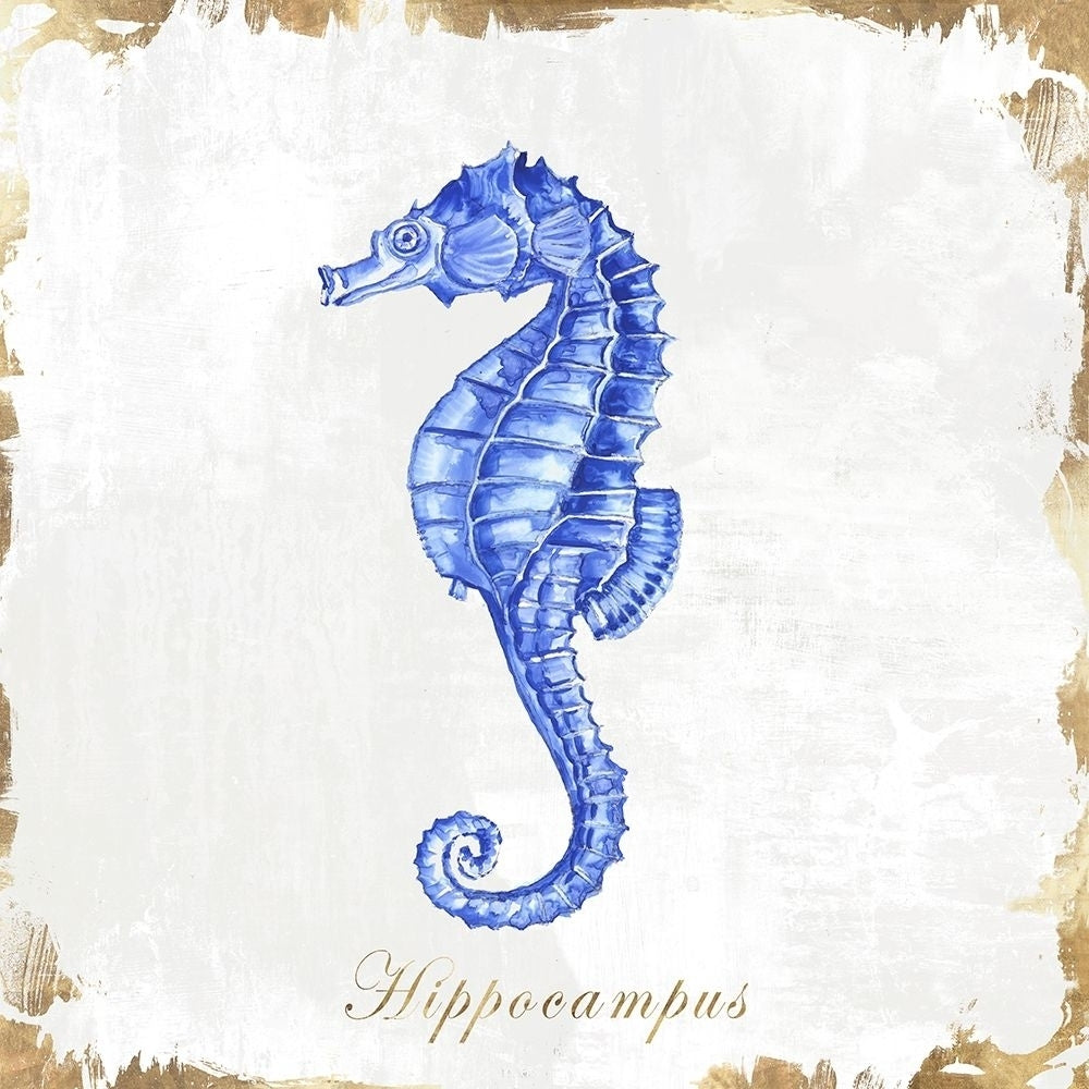 Blue Sea Horse Poster Print by Eva Watts-VARPDXEW139A Image 1