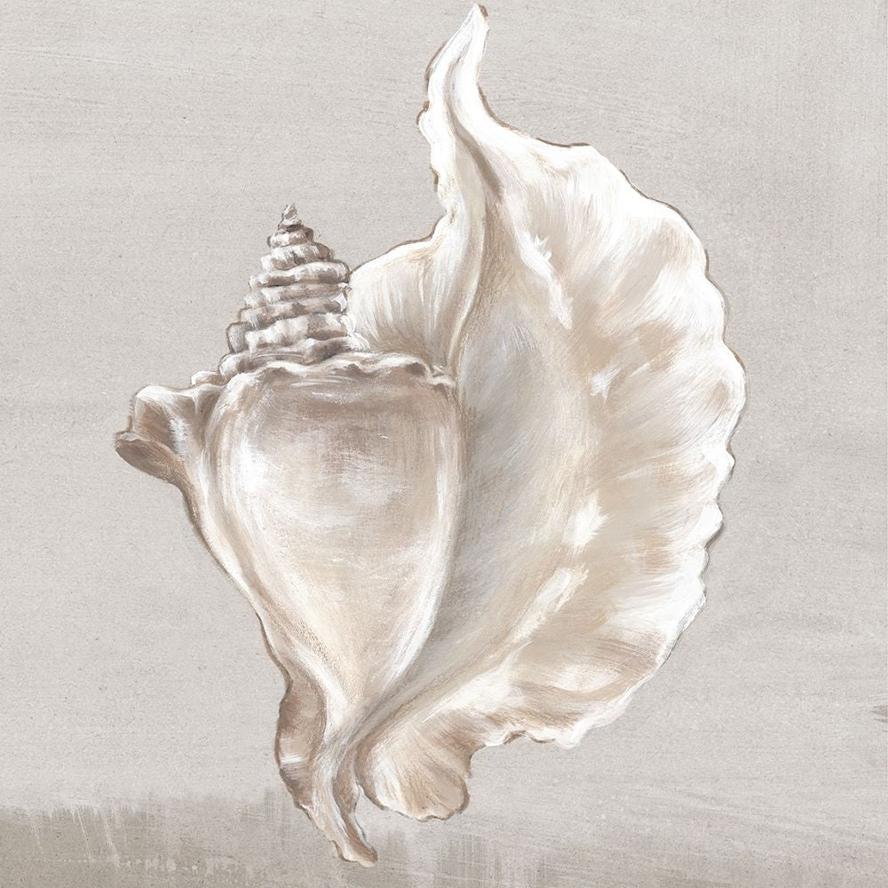 Neutral Shells III Poster Print by Eva Watts-VARPDXEW144A Image 1