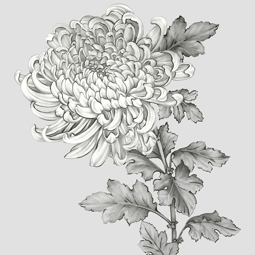 Grey Botanical I Poster Print by Eva Watts-VARPDXEW147A Image 1