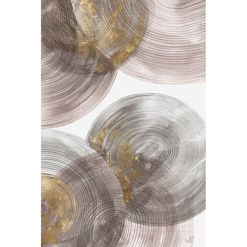 Spiral Rings I Poster Print by Eva Watts-VARPDXEW236A Image 1