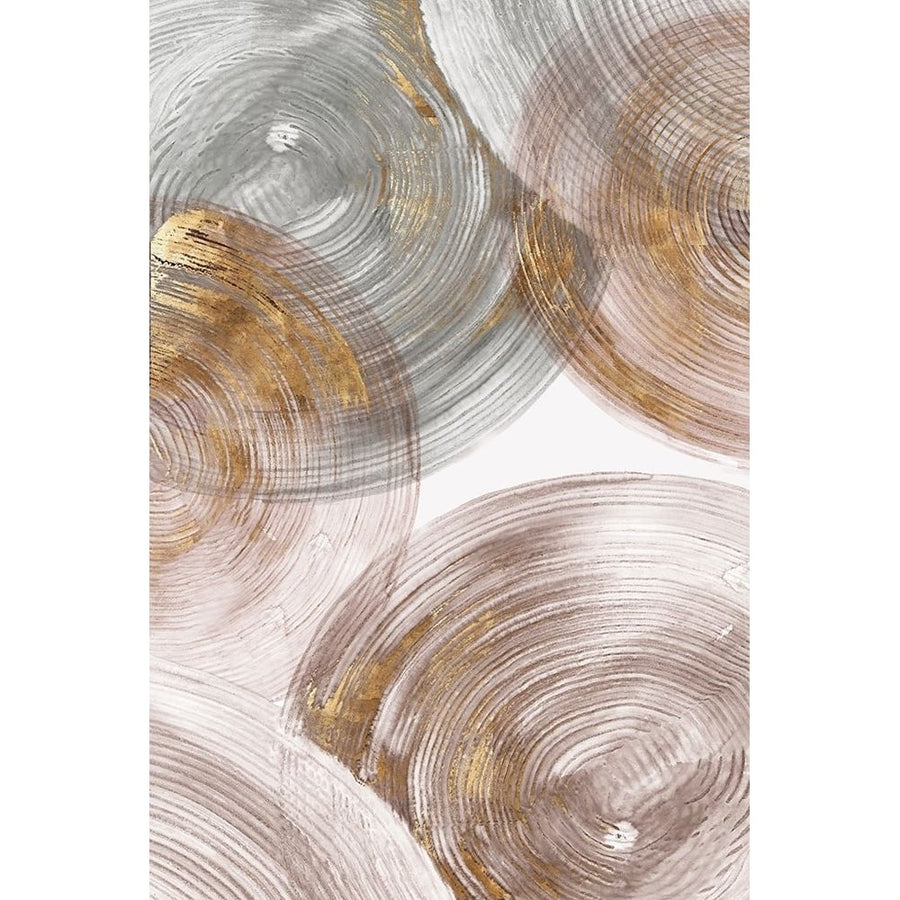 Spiral Rings II Poster Print by Eva Watts-VARPDXEW237A Image 1