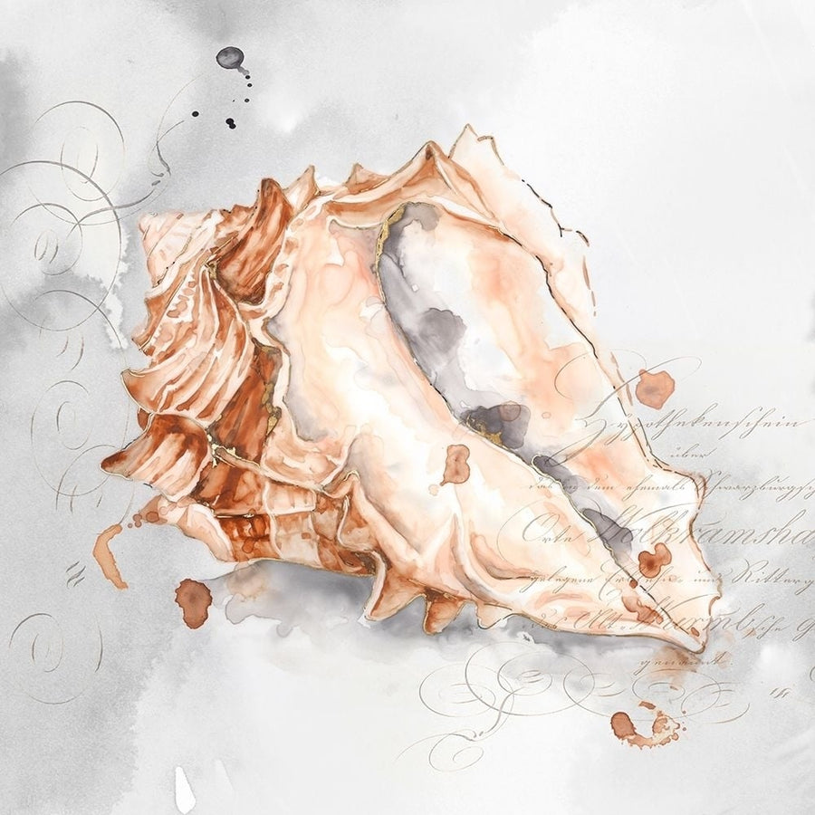 Blush Shell III Poster Print by Eva Watts-VARPDXEW206A Image 1