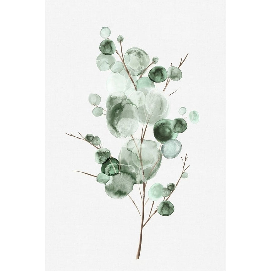 Tender Sprout I Poster Print by Eva Watts-VARPDXEW406A Image 1