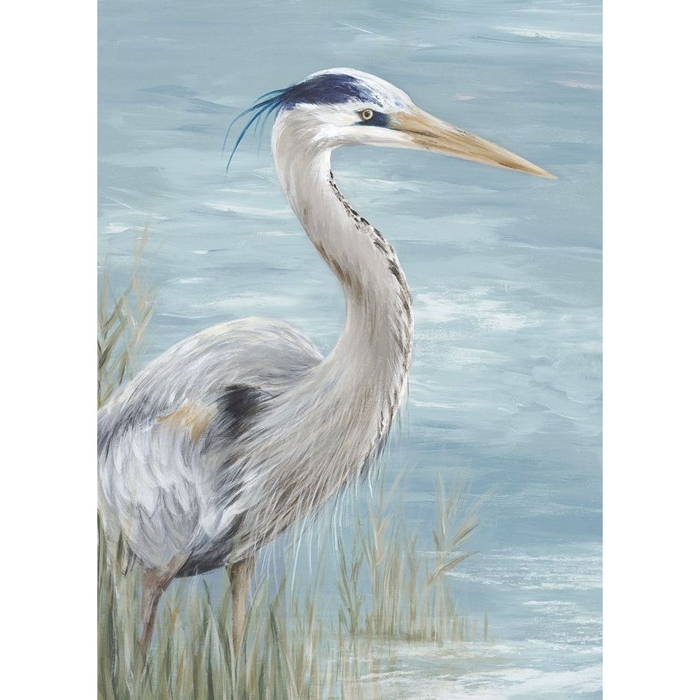 Great Blue Heron Gaze Poster Print by Eva Watts-VARPDXEW544A Image 1