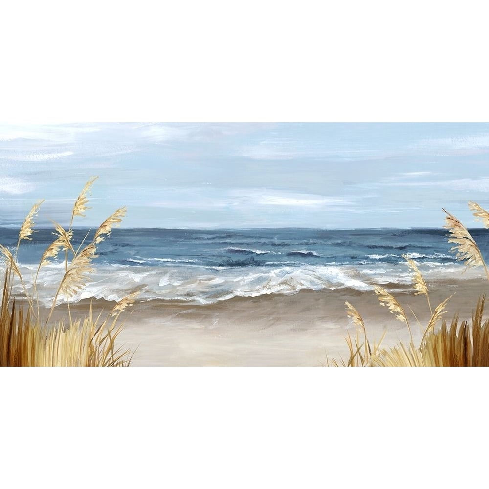 Untouched Beach Grass by Eva Watts-VARPDXEW723A Image 1