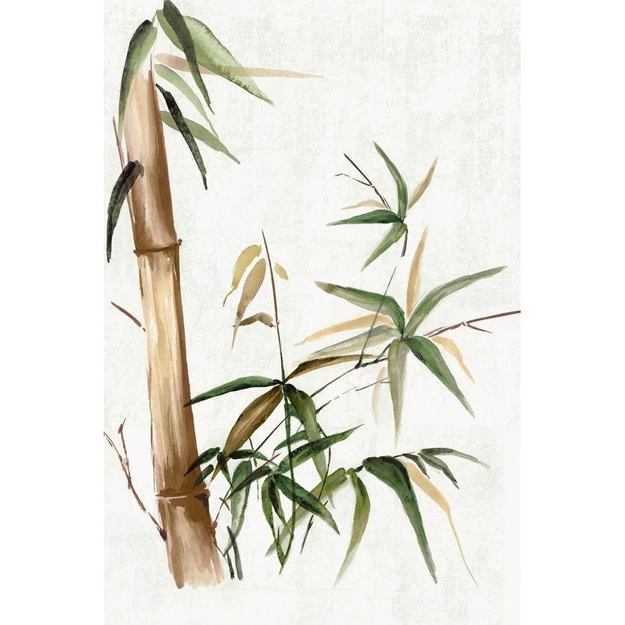 Green Bamboo I by Eva Watts-VARPDXEW786A Image 1